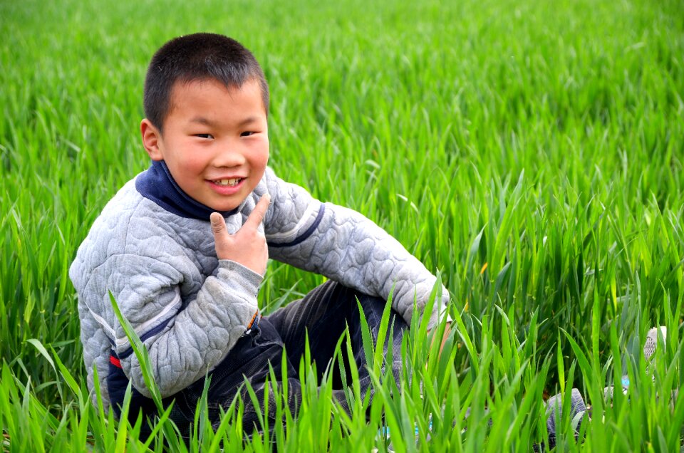 Portrait child in wheat field