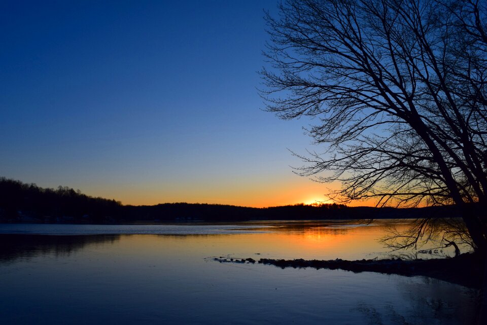 Tree silhouette landscape