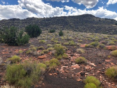 Sunset Crater Volcano National Monument (48754397796)