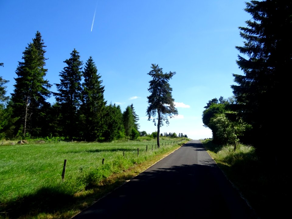 Sur la route entre Cézens et Pierrefort, Cantal