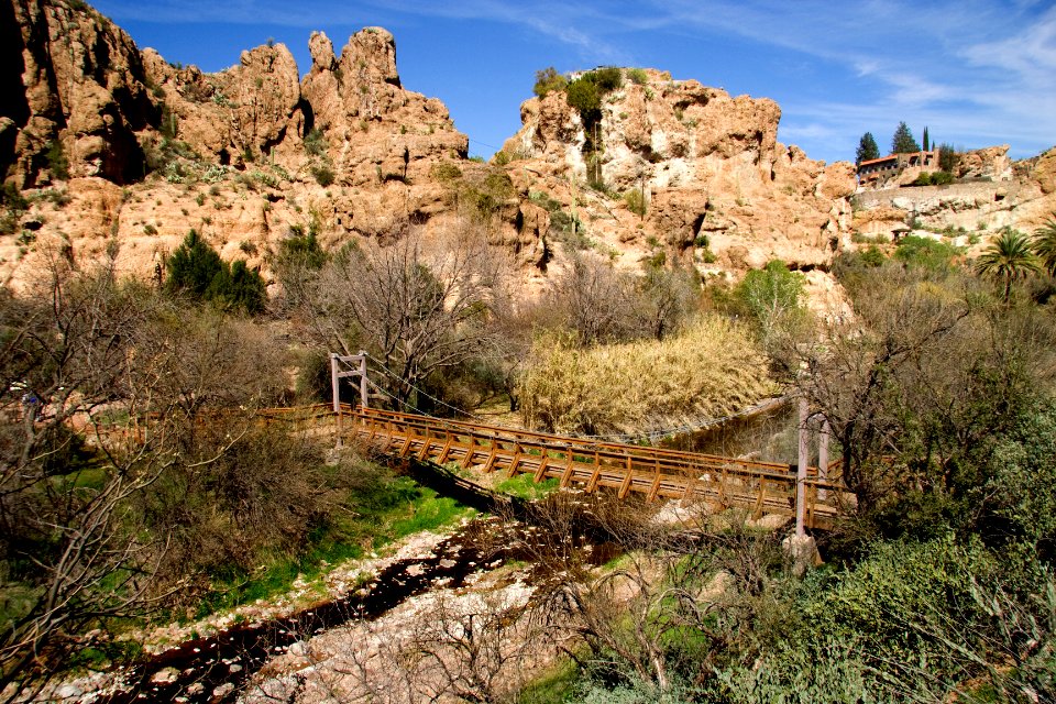 Suspension Bridge View (38536001635)