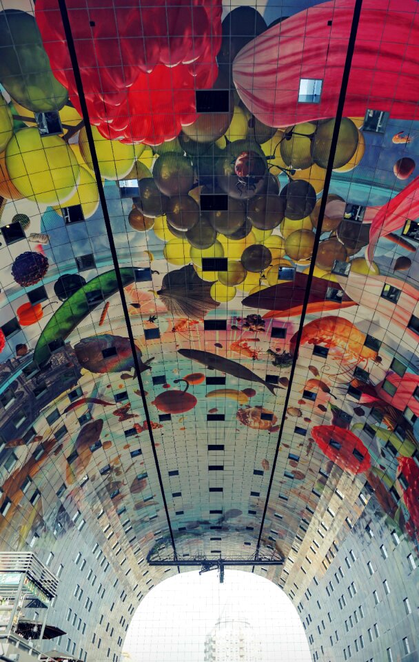 Structure establishment ceiling