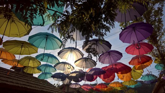 Themepark theme umbrella