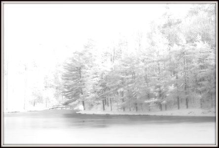 The Lake (30360151466)