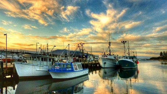 The Marina Bermagui Aust. (51067255287)