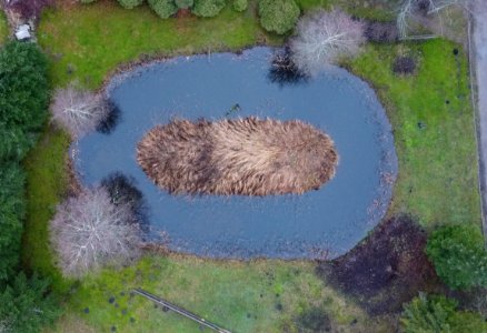 THE POND (49280733036)