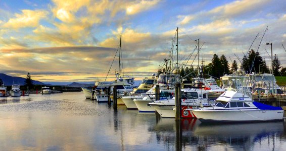 The moorings. NSW. (51015630895)