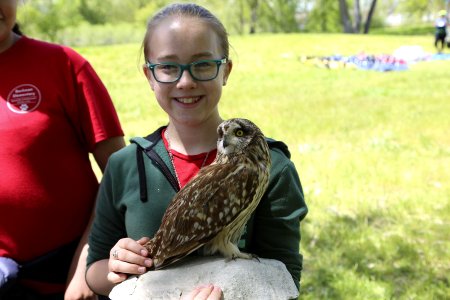 The owl is popular (33682164724)