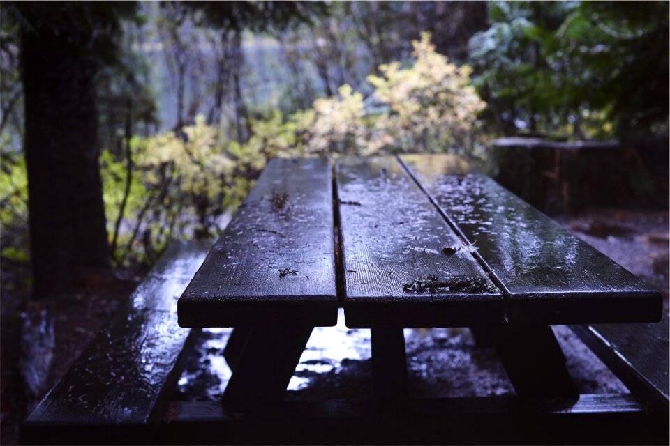 Picnic table wood raining