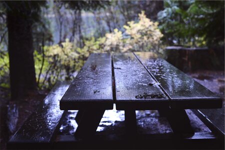 Picnic table wood raining photo