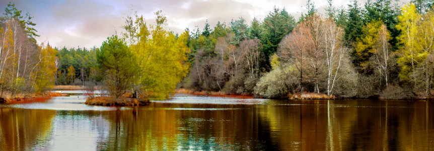 Three islands in the pond (32615541637)