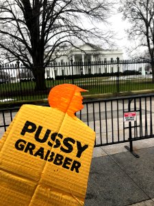 Tiny trump at the 2019 Women's March in Washington D.C. (31891236947)