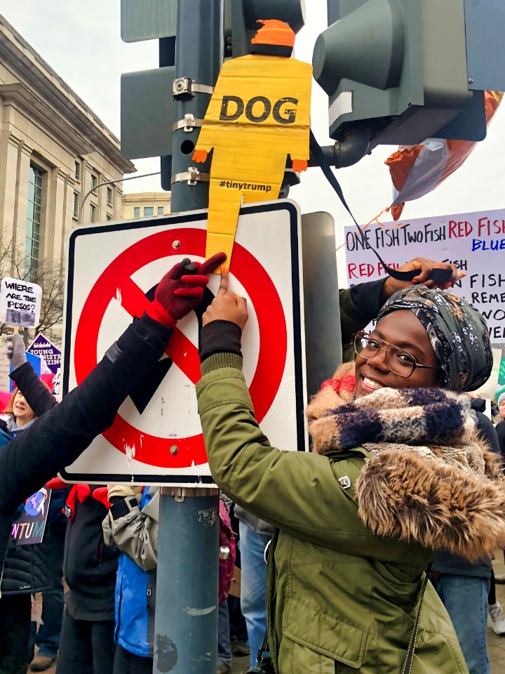 Tiny trump at the 2019 Women's March in Washington D.C. (31891381847)
