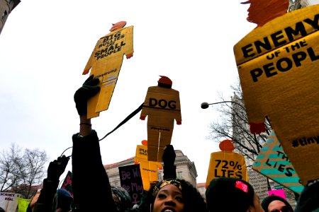 Tiny trump at the 2019 Women's March in Washington D.C. (32957099018)