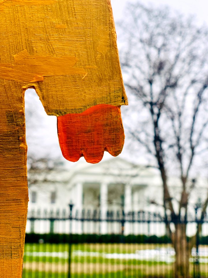Tiny trump at the 2019 Women's March in Washington D.C. (31891401777)