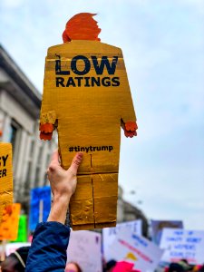 Tiny trump at the 2019 Women's March in Washington D.C. (39867634413)