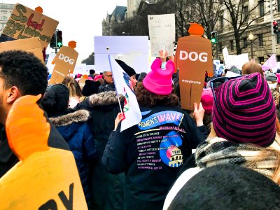 Tiny trump at the 2019 Women's March in Washington D.C. (46107620294)