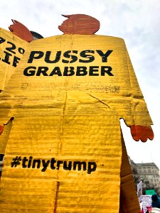 Tiny trump at the 2019 Women's March in Washington D.C. (46832831041)