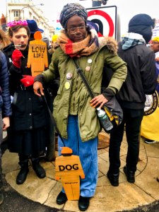 Tiny trump at the 2019 Women's March in Washington D.C. (39867638943) photo