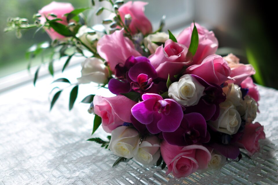 Floral flora rose