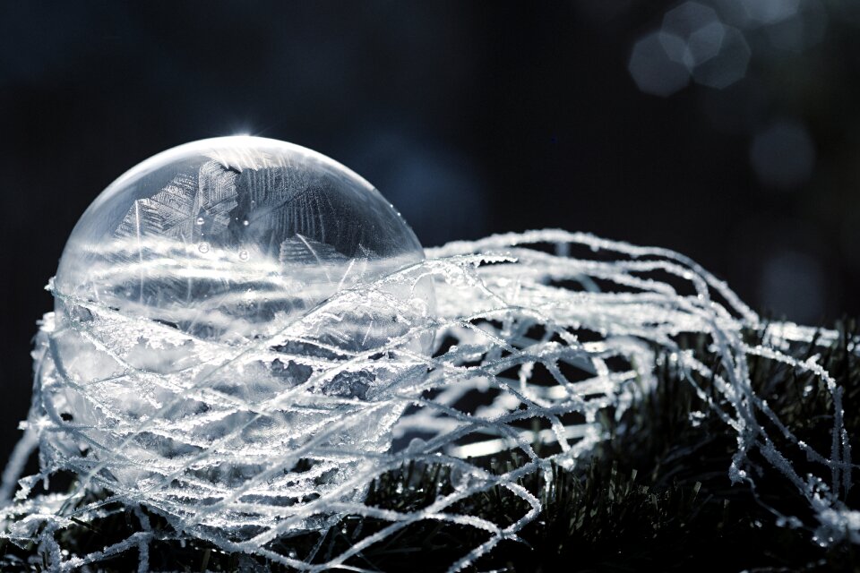 Network winter bubble blower