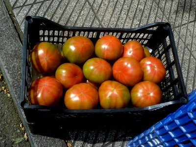 Tomates (9279107090)