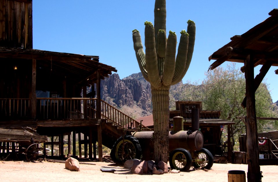 Tractor and Saguaro (14413785924)