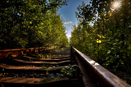 Trails (42454269062)