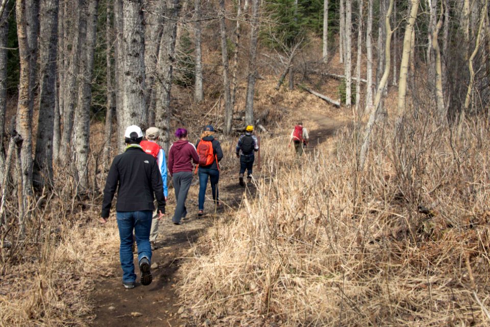 Trail Volunteer Training at Mchugh Creek (34517634132)