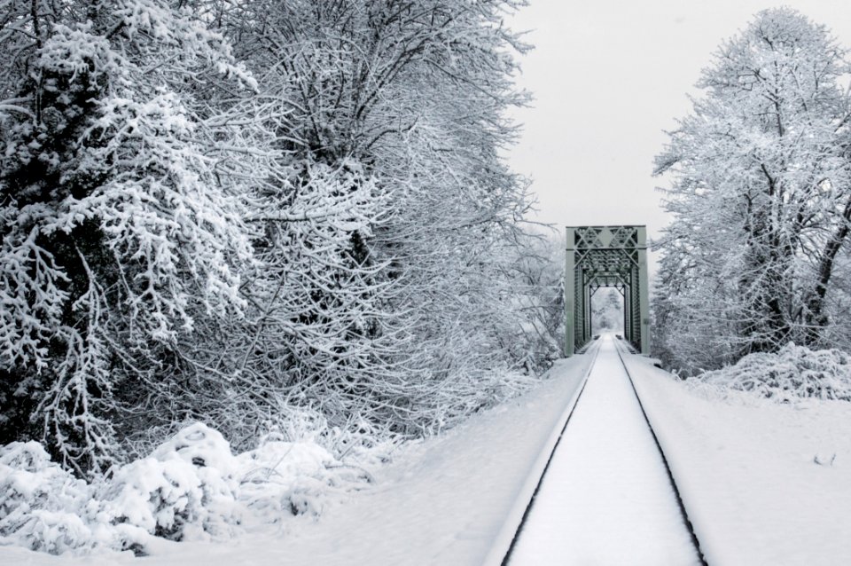 Train trestle in the snow, Willamette Valley, Oregon (33179199188)