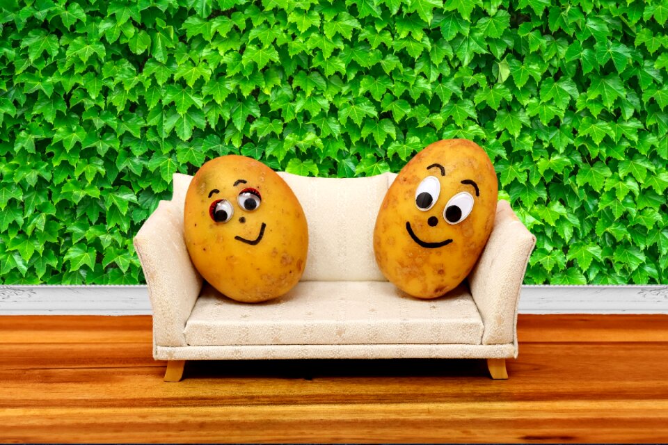 Funny lazing around sofa
