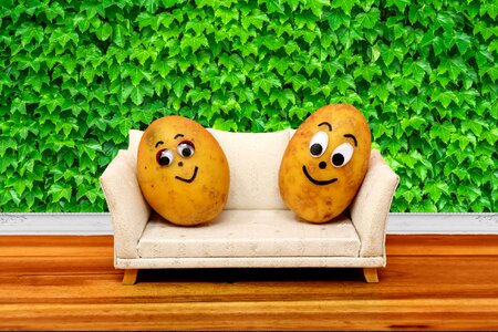 Funny lazing around sofa