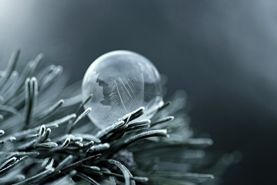 Winter bubble blower tree