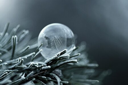 Winter bubble blower tree