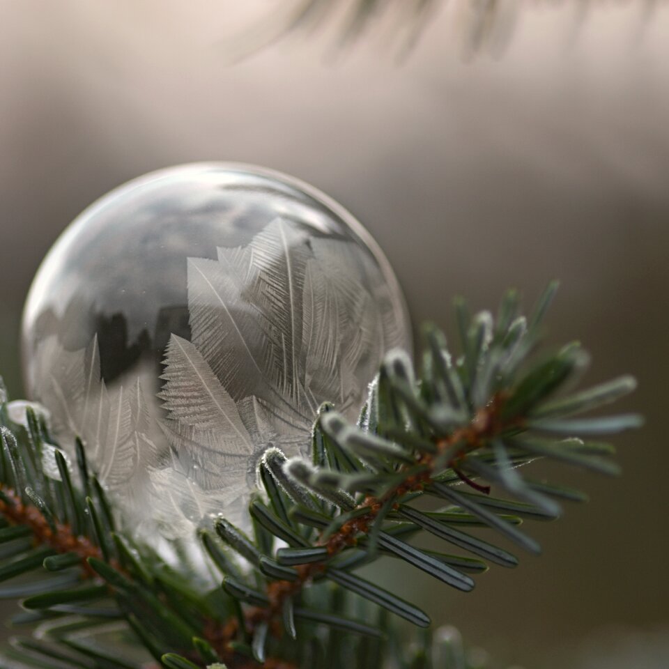 Frost winter bubble blower