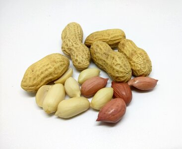 Nuts dry fruit raw photo
