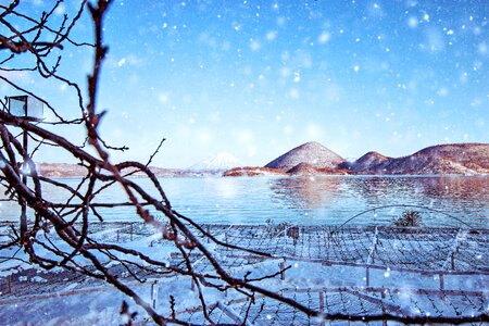 Landscape tree tourism photo