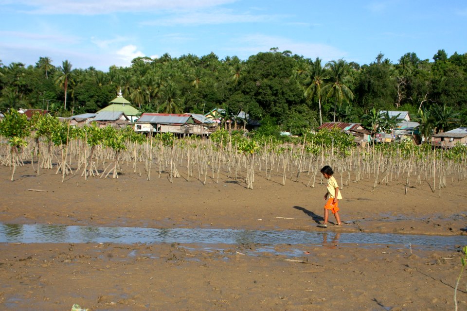 A girl running on the coastal area in Kalimantan where USAID helped replant the mangroves. (17178276889)