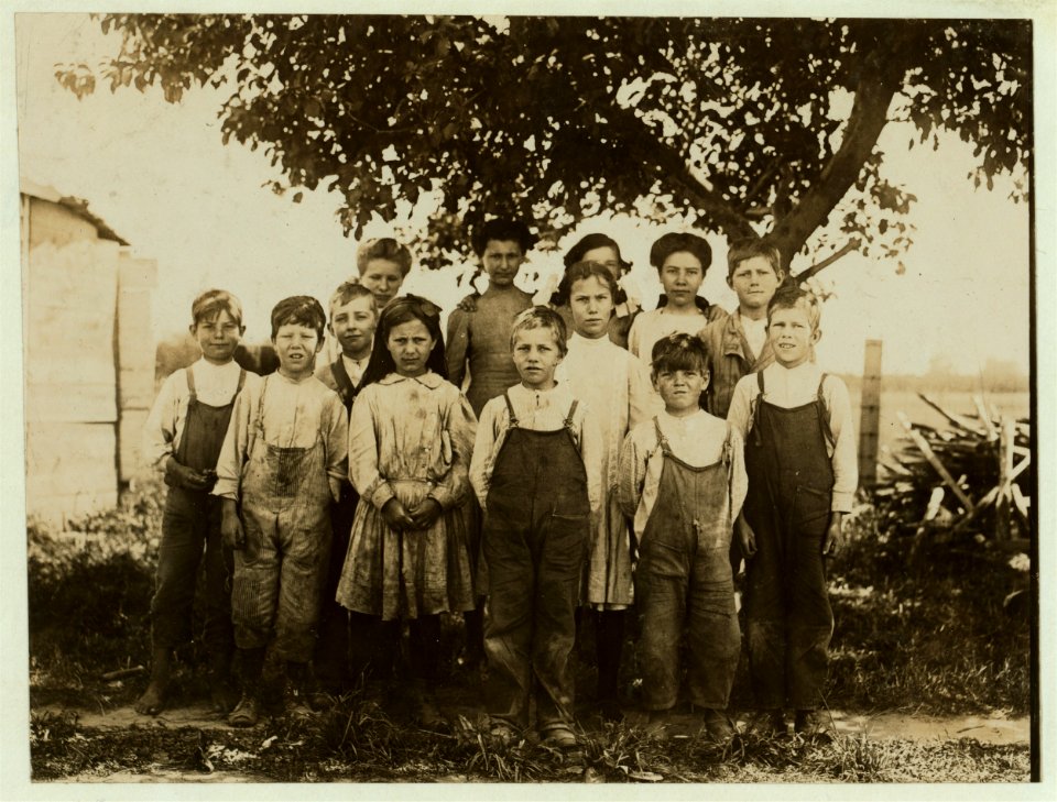 A group of berry pickers at Newton's Farm, Bridgeville, Del. 2 Children are 7 years of age. 2 Children are 8 years of age. 2 Children are 9 years of age. 2 Children are 11 years of age. 3 LOC nclc.00105