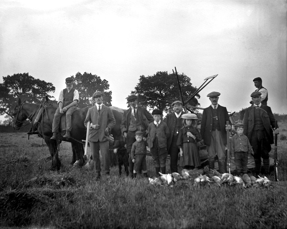 A group of harvest shooters YORYM-S81