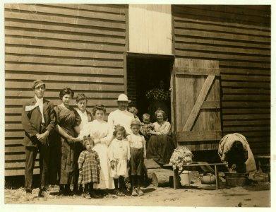 A group of berry pickers on Johnson's Farm at Cannon, Del. Caroline Giammia, is 4 years old, and picking berries her 1st season, averaging 10 quarts a day. Nellie Giammia, 6 years of age, LOC cph.3b39346 photo