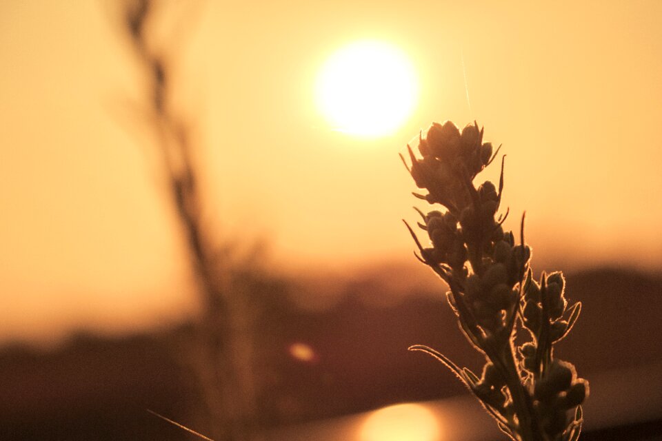 Scenery bright sunset