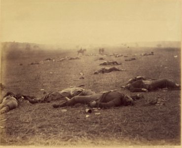A harvest of death Gettysburg crop