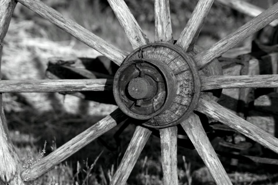 Wooden wheel cartwheels spoke