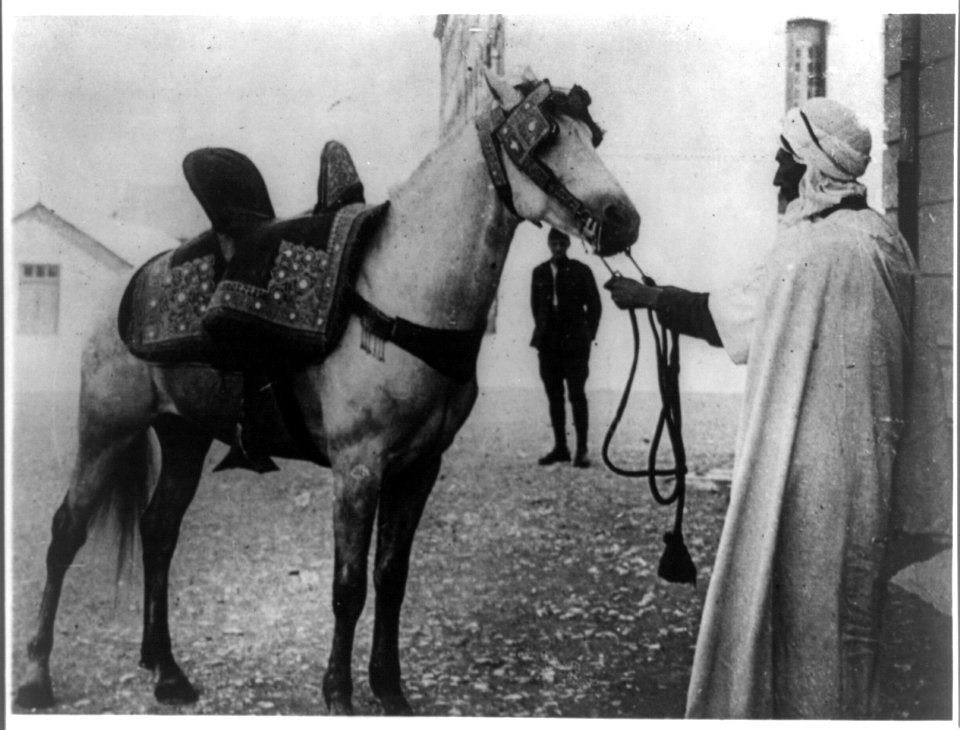 A horse without a home-President Doumergue of France has no stable for steed presented him on recent Algerian trip LCCN2011661008