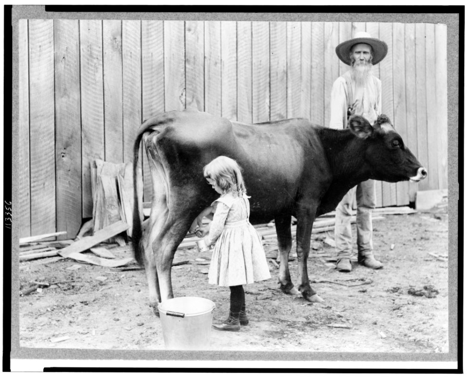 A juvenile milkmaid LCCN95504311
