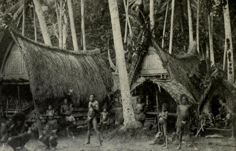 A Kiriwina Village, Memoirs Bishop Museum, Vol. II, Fig. 55