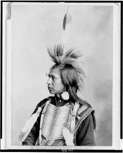 A Klickitat brave - Gifford, The Dalles, Oregon. LCCN90710755