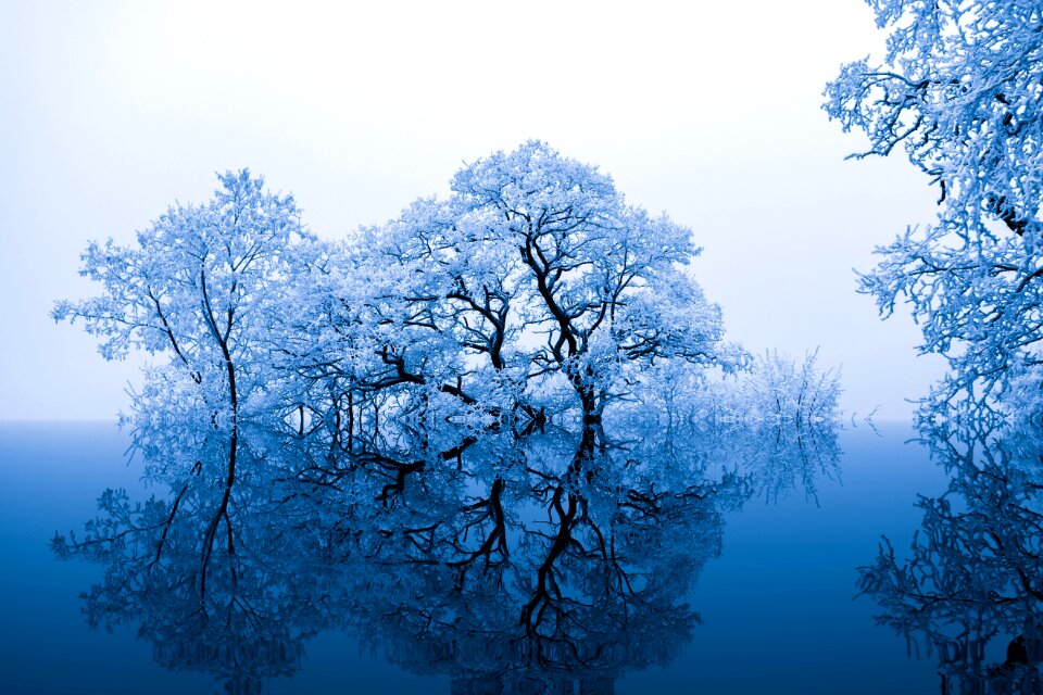 Blue artistically art