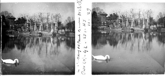 A l'estany del Parc de la Ciutadella de Barcelona (SaP 029 11)